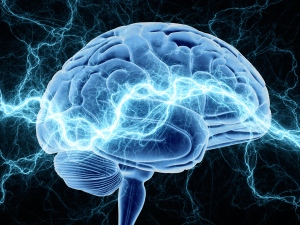 Read more about the article Rewire Your Brain With Exercise